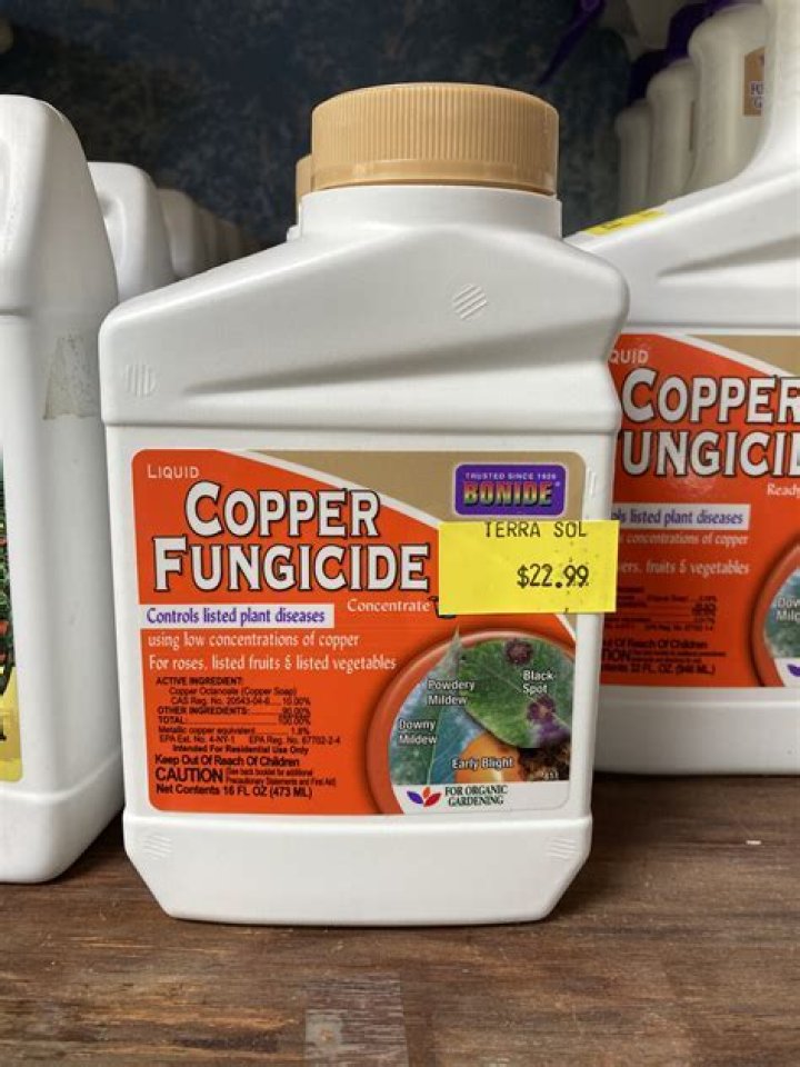 Are copper fungicides safe?