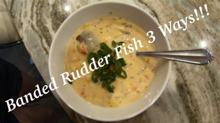 Are rudderfish good to eat?