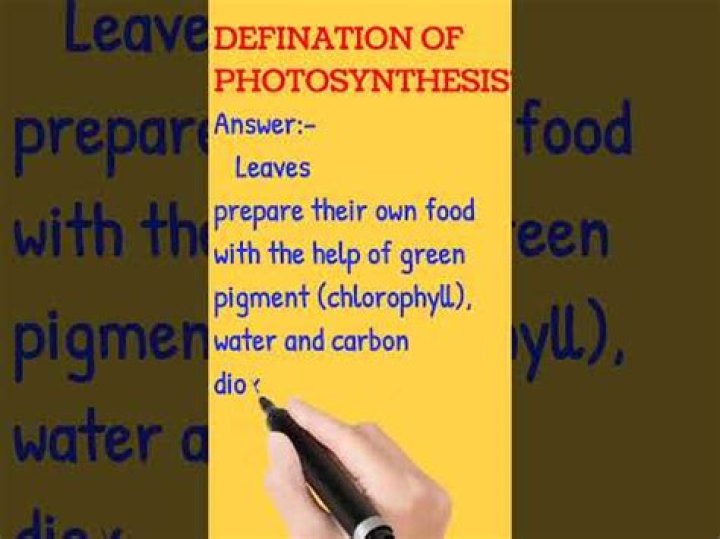 What does phyto mean?