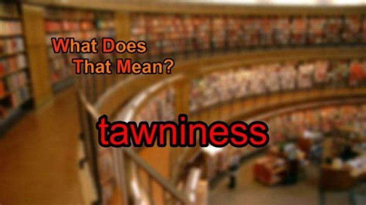 What does tawniness mean?