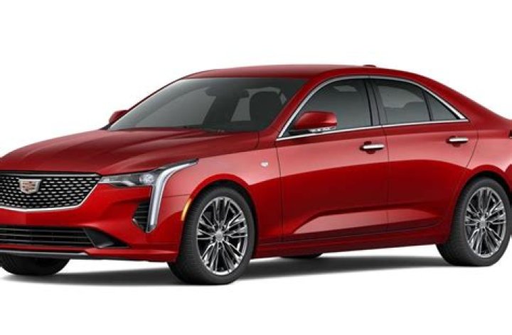 What is cherry red tintcoat?