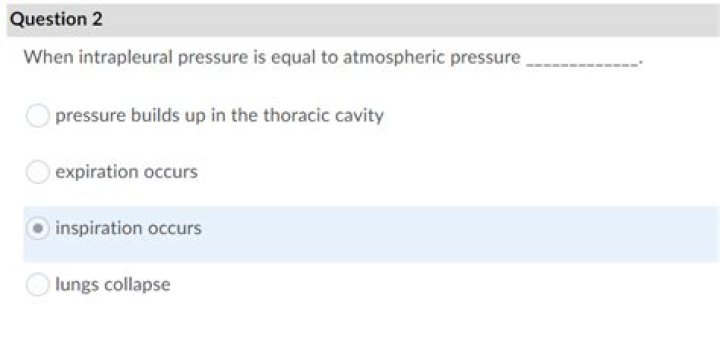 When intrapleural pressure is equal to atmospheric pressure?