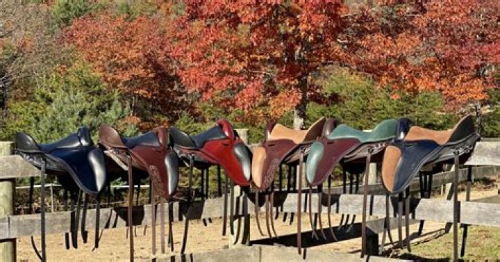 Who makes treeless saddles?