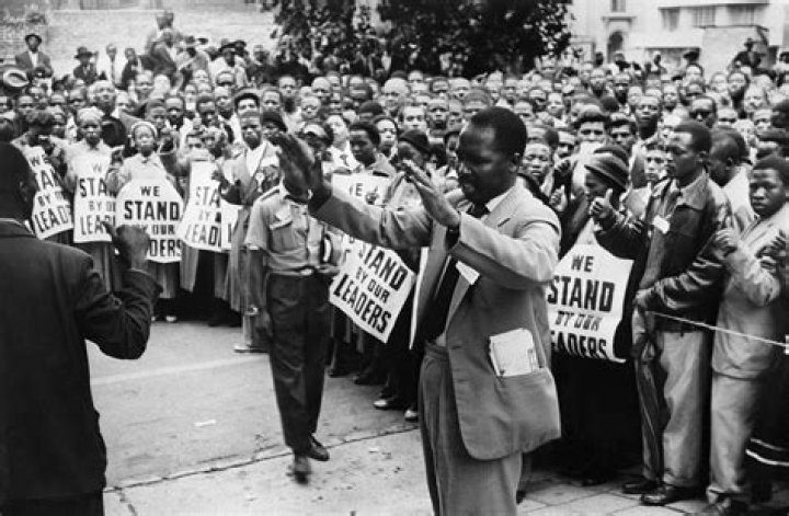 Why did springboks represent apartheid?