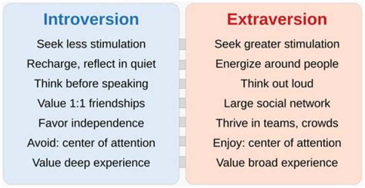 Why is extraversion and introversion important?